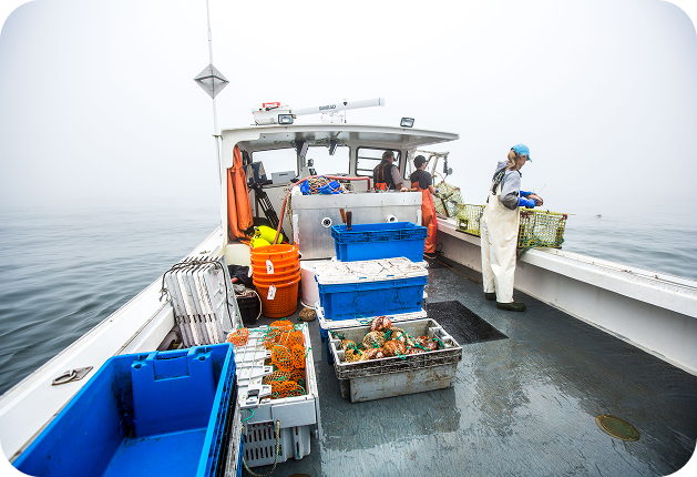EAT MAINE LOBSTER